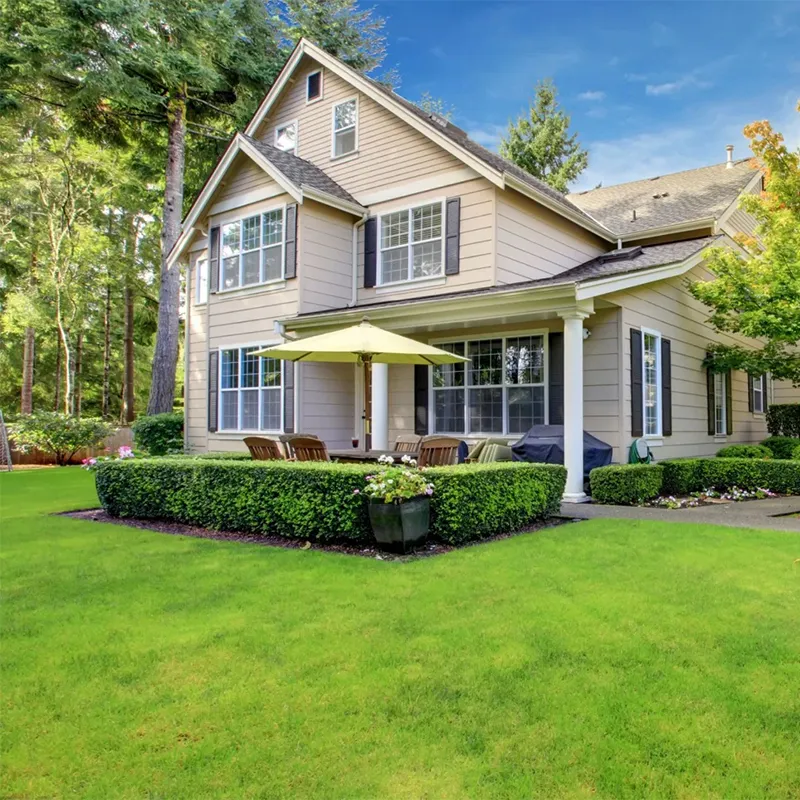🌱Evergreen lawn seeds for all seasons🍀